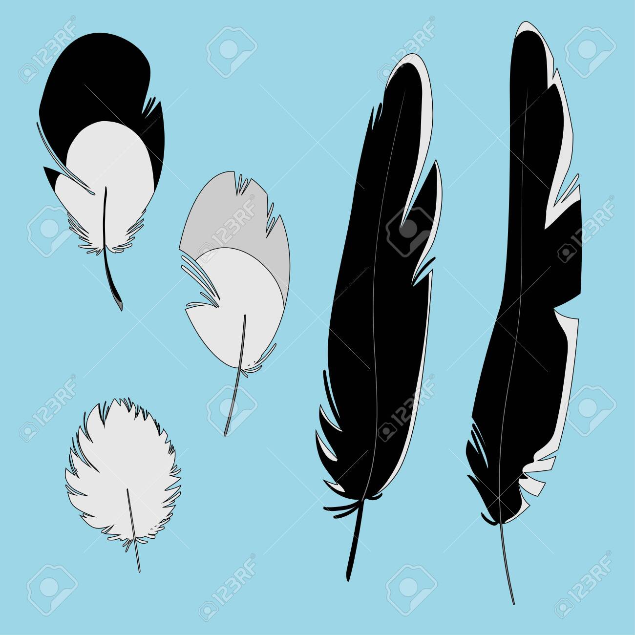 Detail Crow Feather Vector Nomer 17