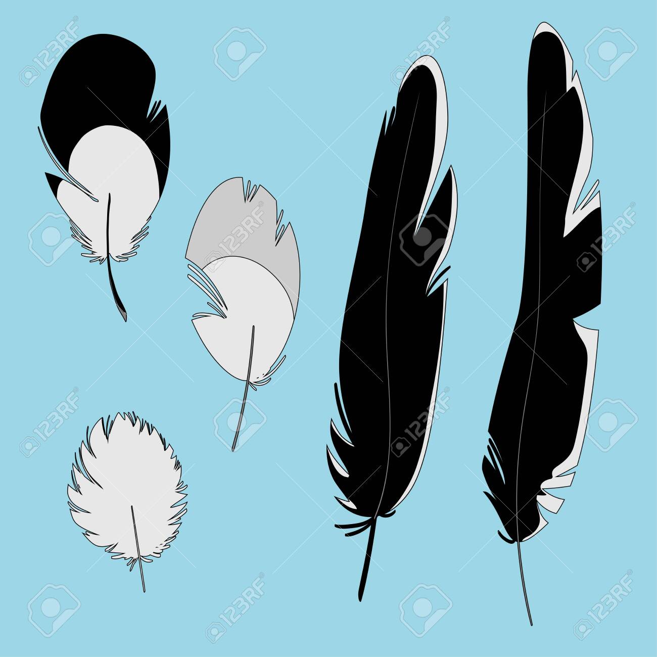 Detail Crow Feather Vector Nomer 17