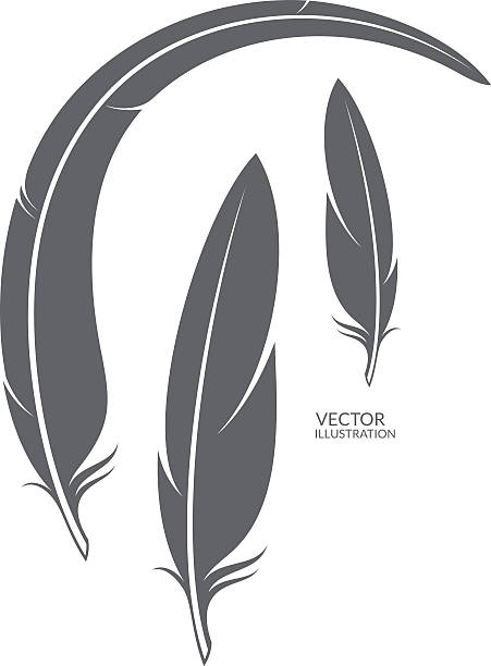 Detail Crow Feather Vector Nomer 18