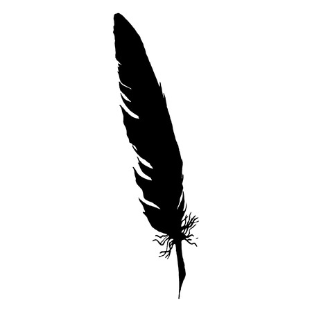 Detail Crow Feather Vector Nomer 3