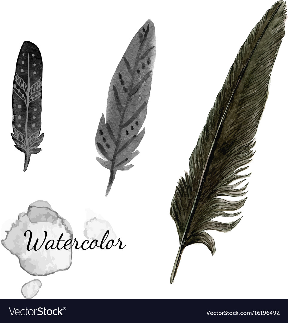 Detail Crow Feather Vector Nomer 21