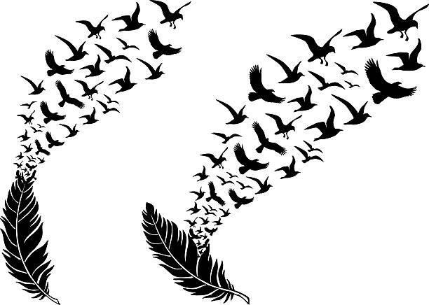 Detail Crow Feather Vector Nomer 22