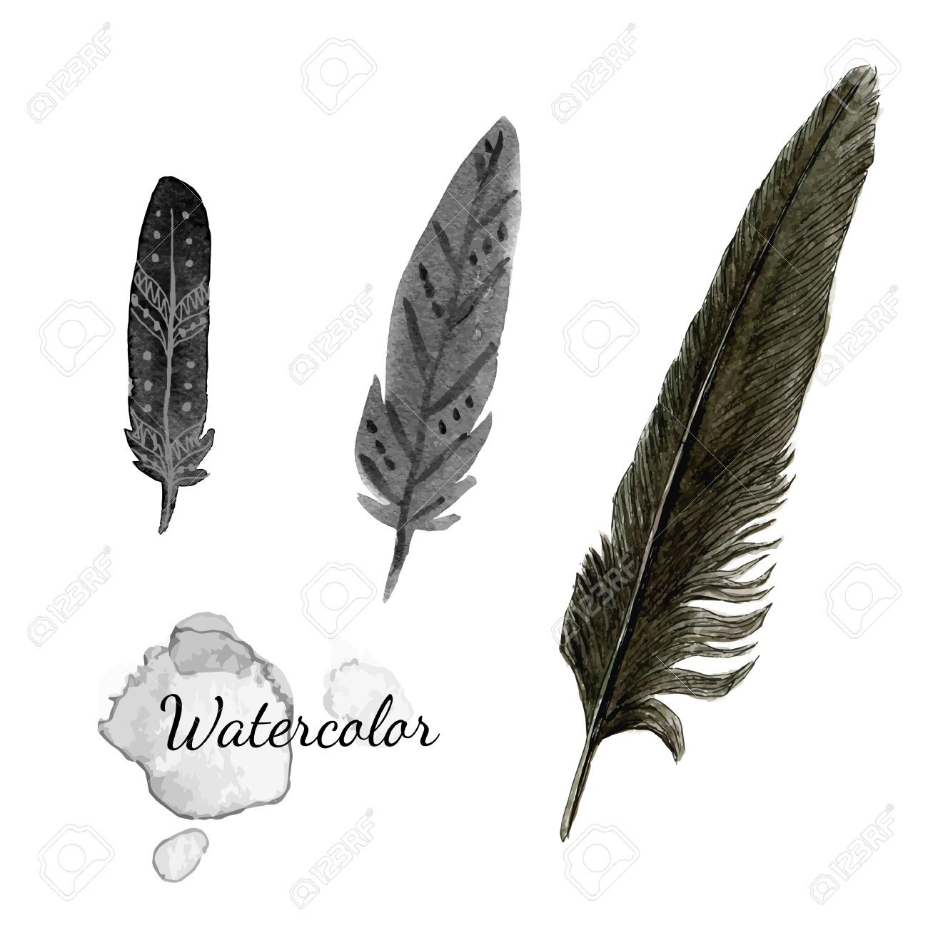 Detail Crow Feather Vector Nomer 24