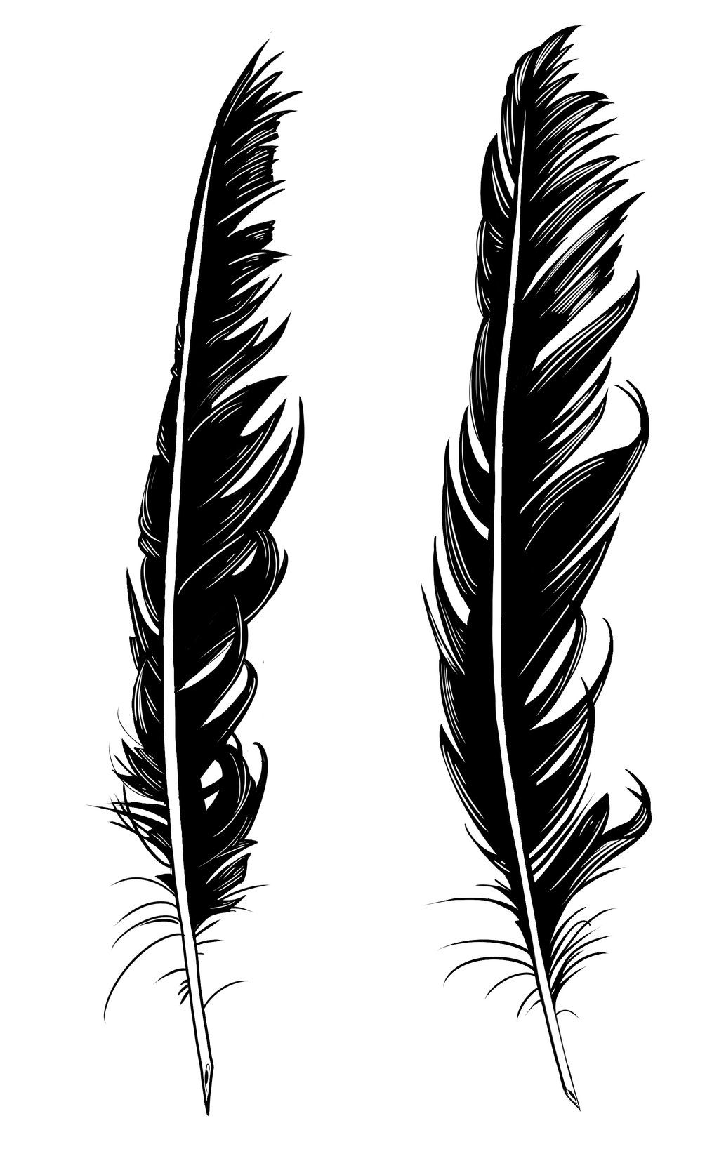 Detail Crow Feather Vector Nomer 25