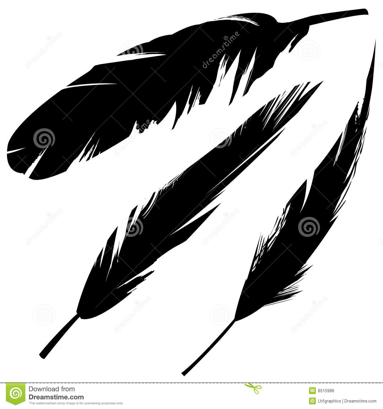 Detail Crow Feather Vector Nomer 26