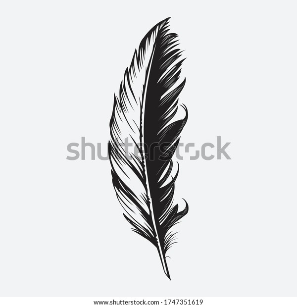 Detail Crow Feather Vector Nomer 30