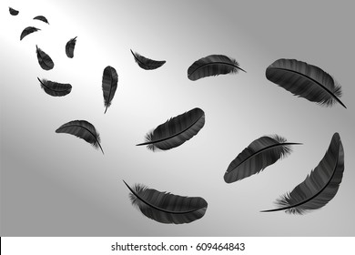 Detail Crow Feather Vector Nomer 31