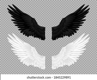 Detail Crow Feather Vector Nomer 34