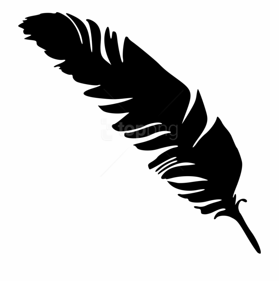 Detail Crow Feather Vector Nomer 40