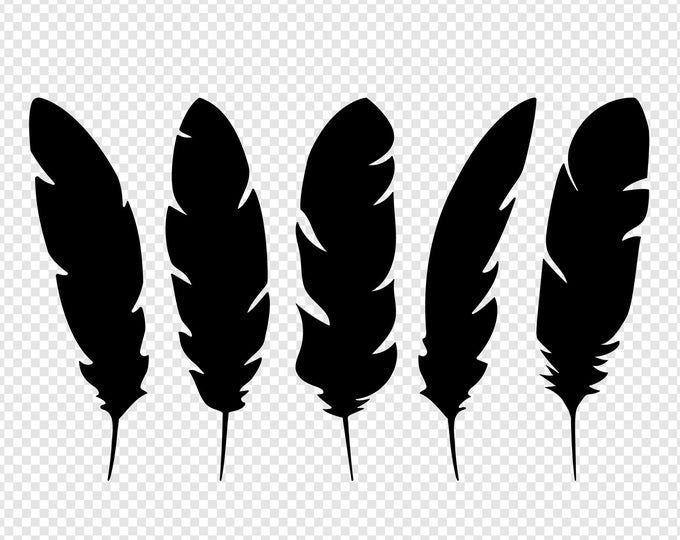 Detail Crow Feather Vector Nomer 45