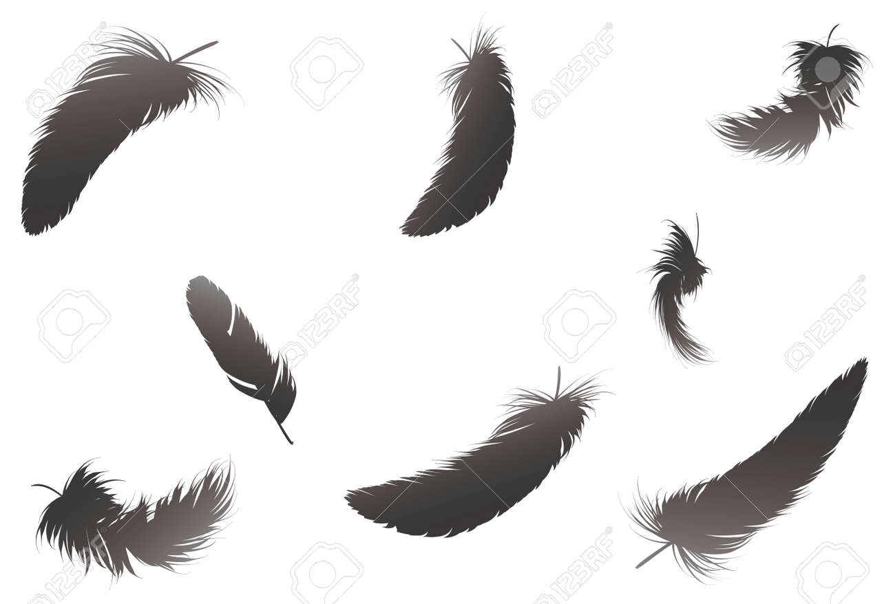 Detail Crow Feather Vector Nomer 47