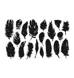 Detail Crow Feather Vector Nomer 9