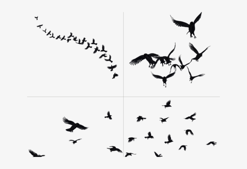 Detail Crow Flying Clipart Nomer 26