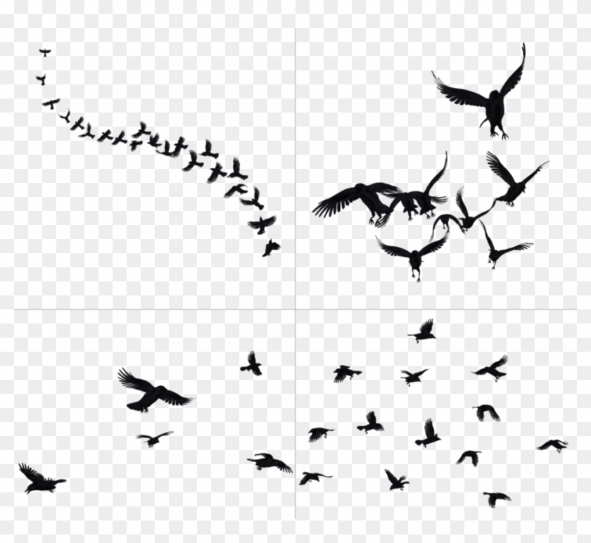 Detail Crow Flying Png Nomer 3