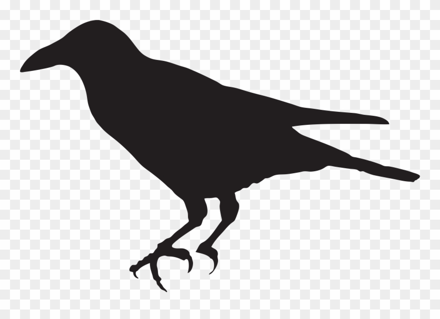 Detail Crow Images Clip Art Nomer 22