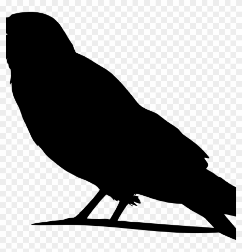 Detail Crow Images Clip Art Nomer 50