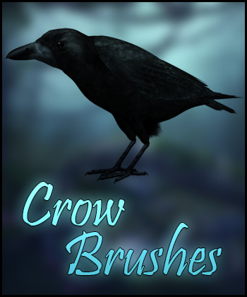 Detail Crow Photoshop Brushes Nomer 31