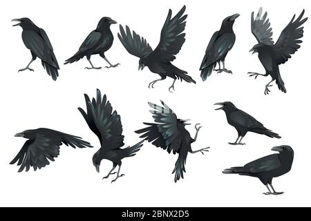 Detail Crow Photoshop Brushes Nomer 33
