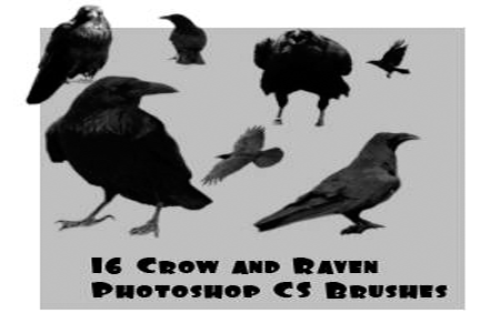 Detail Crow Photoshop Brushes Nomer 52