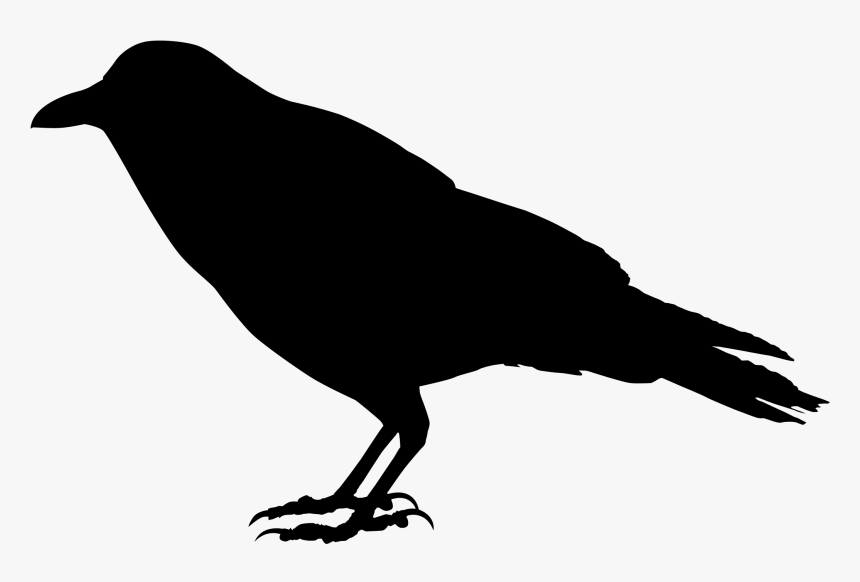 Detail Crow Transparent Background Nomer 13