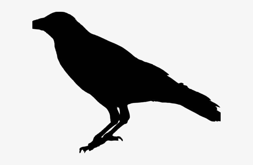 Detail Crow Transparent Background Nomer 15