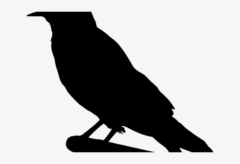 Detail Crow Transparent Background Nomer 20