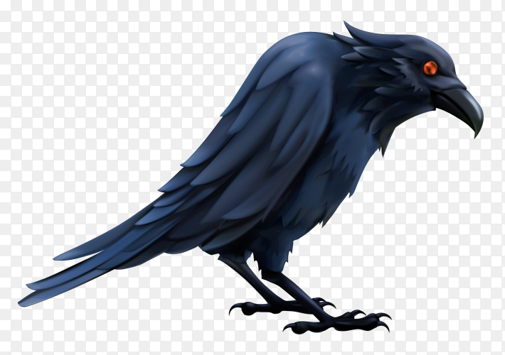 Detail Crow Transparent Background Nomer 47