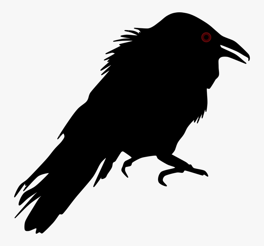Detail Crow Transparent Background Nomer 48