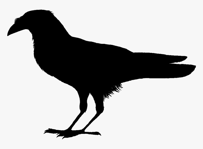 Detail Crow Transparent Background Nomer 49