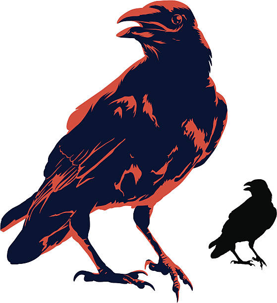 Detail Crow Vector Art Nomer 11