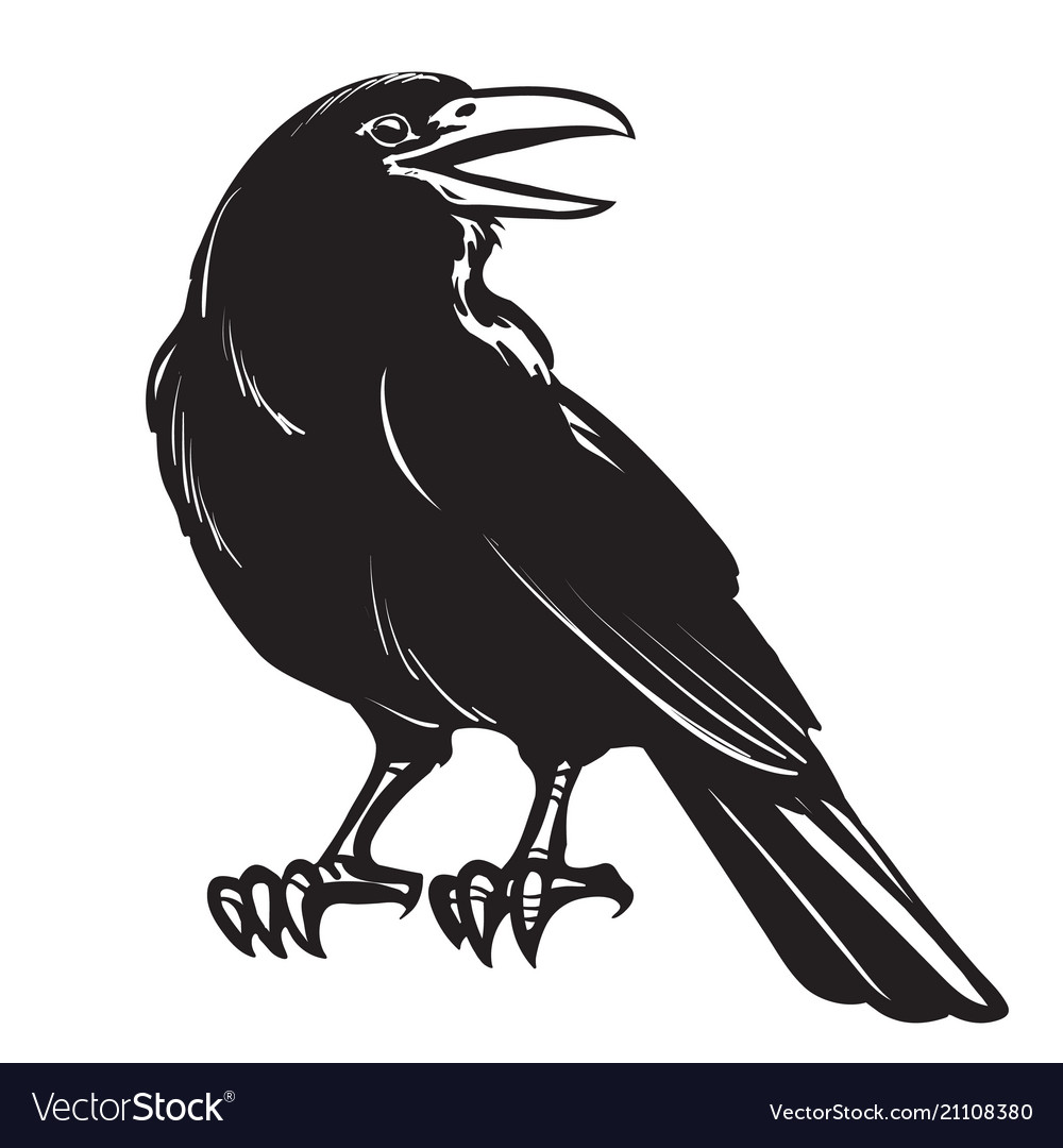 Detail Crow Vector Art Nomer 14