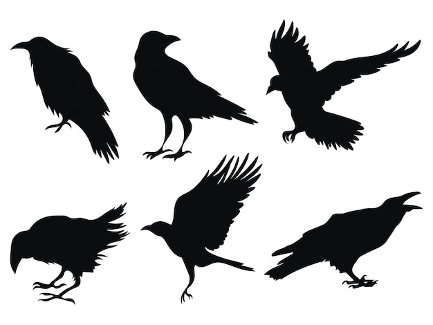 Detail Crow Vector Art Nomer 15