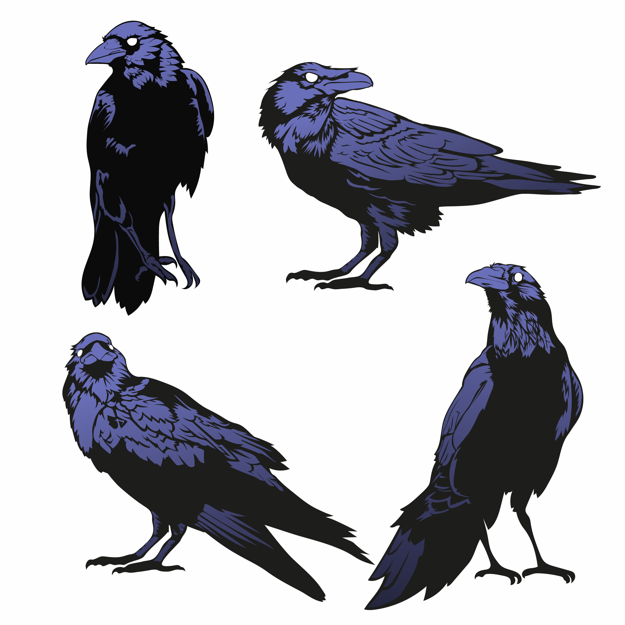 Detail Crow Vector Art Nomer 33