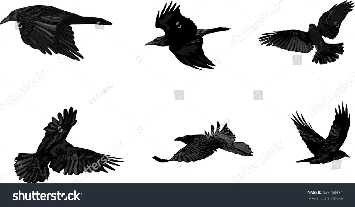 Detail Crow Vector Art Nomer 34