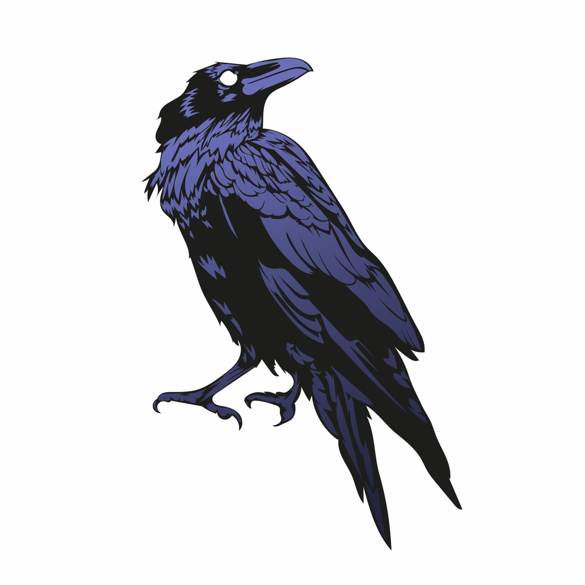 Detail Crow Vector Art Nomer 40