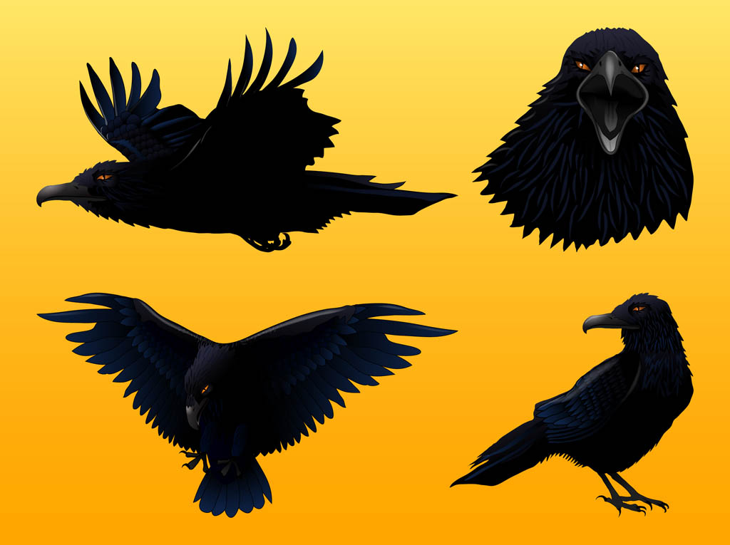 Detail Crow Vector Art Nomer 46