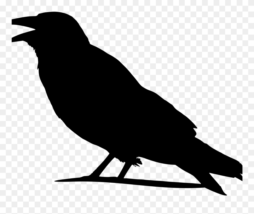 Detail Crow Vector Png Nomer 14