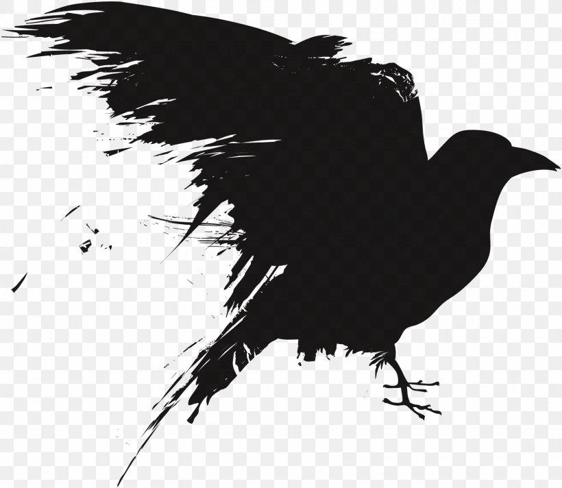 Detail Crow Vector Png Nomer 3