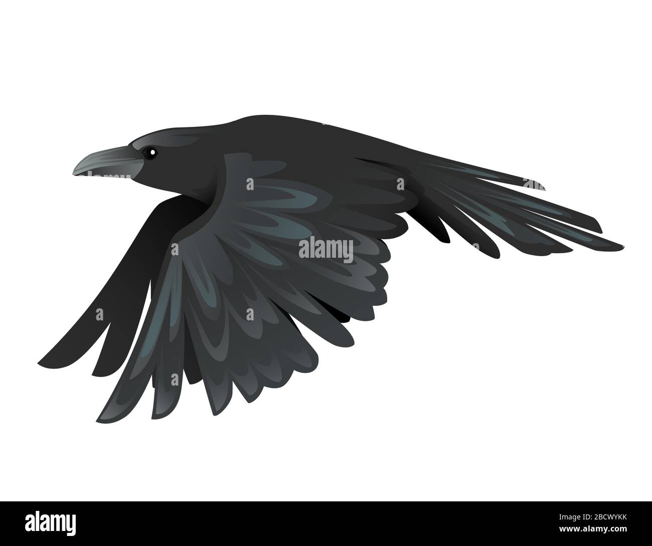 Detail Crow Vector Png Nomer 24