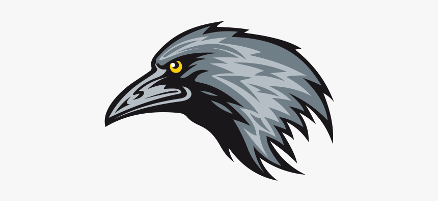 Detail Crow Vector Png Nomer 26