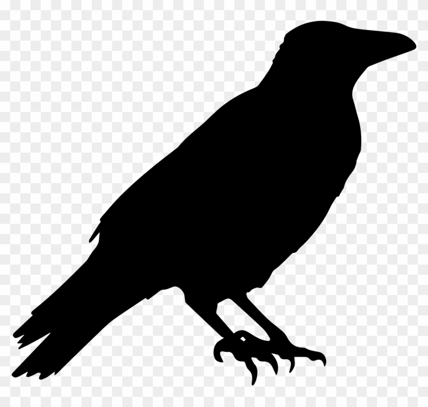 Detail Crow Vector Png Nomer 5