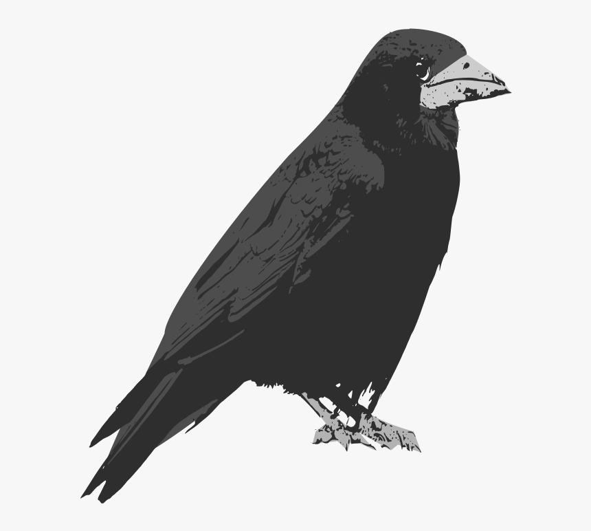 Detail Crow Vector Png Nomer 38