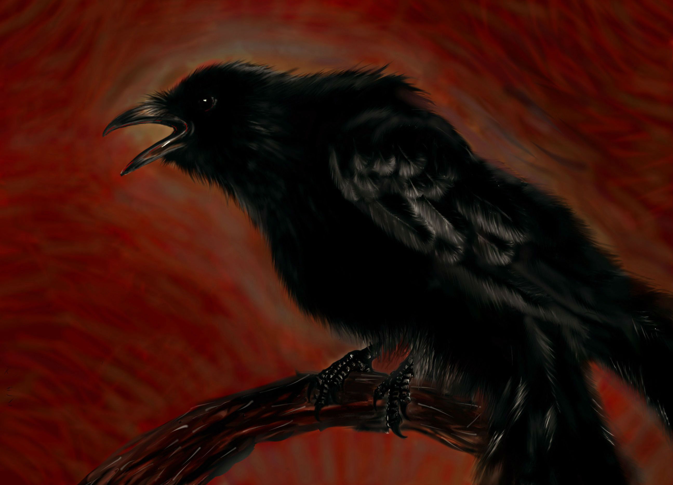 Detail Crow Wallpaper Nomer 32