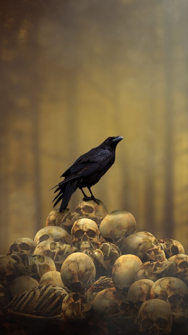 Detail Crow Wallpaper Nomer 5