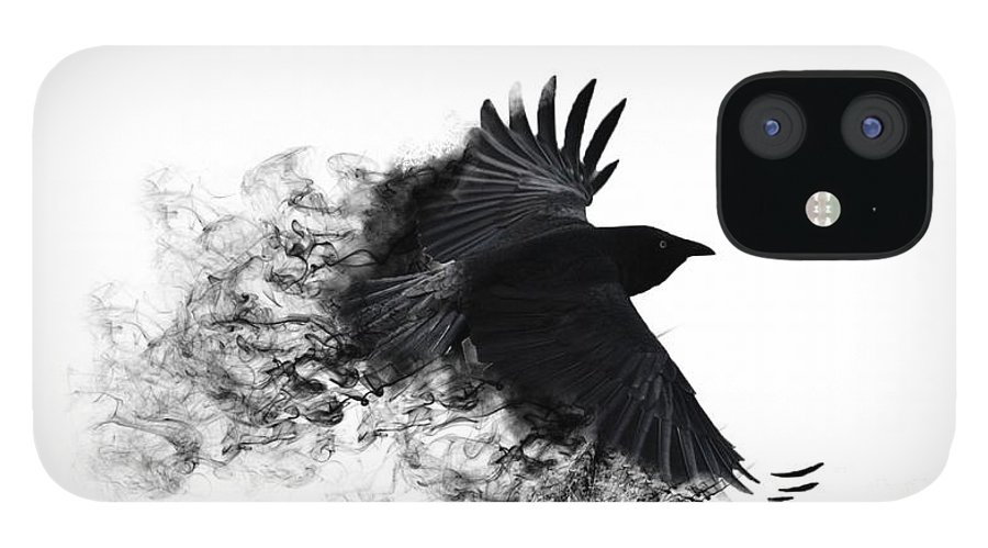 Detail Crow Wallpaper Iphone Nomer 47