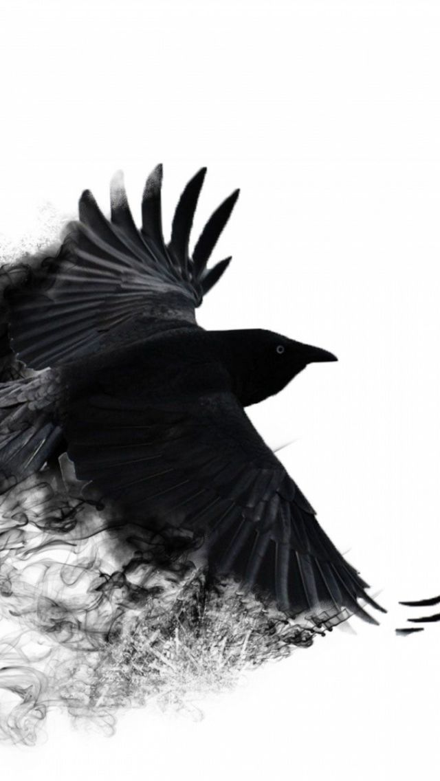 Detail Crow Wallpaper Iphone Nomer 8