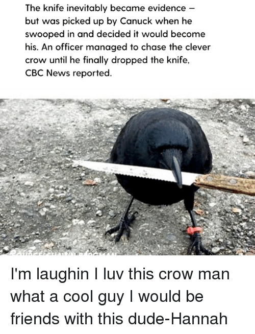 Detail Crow With Knife Meme Nomer 39