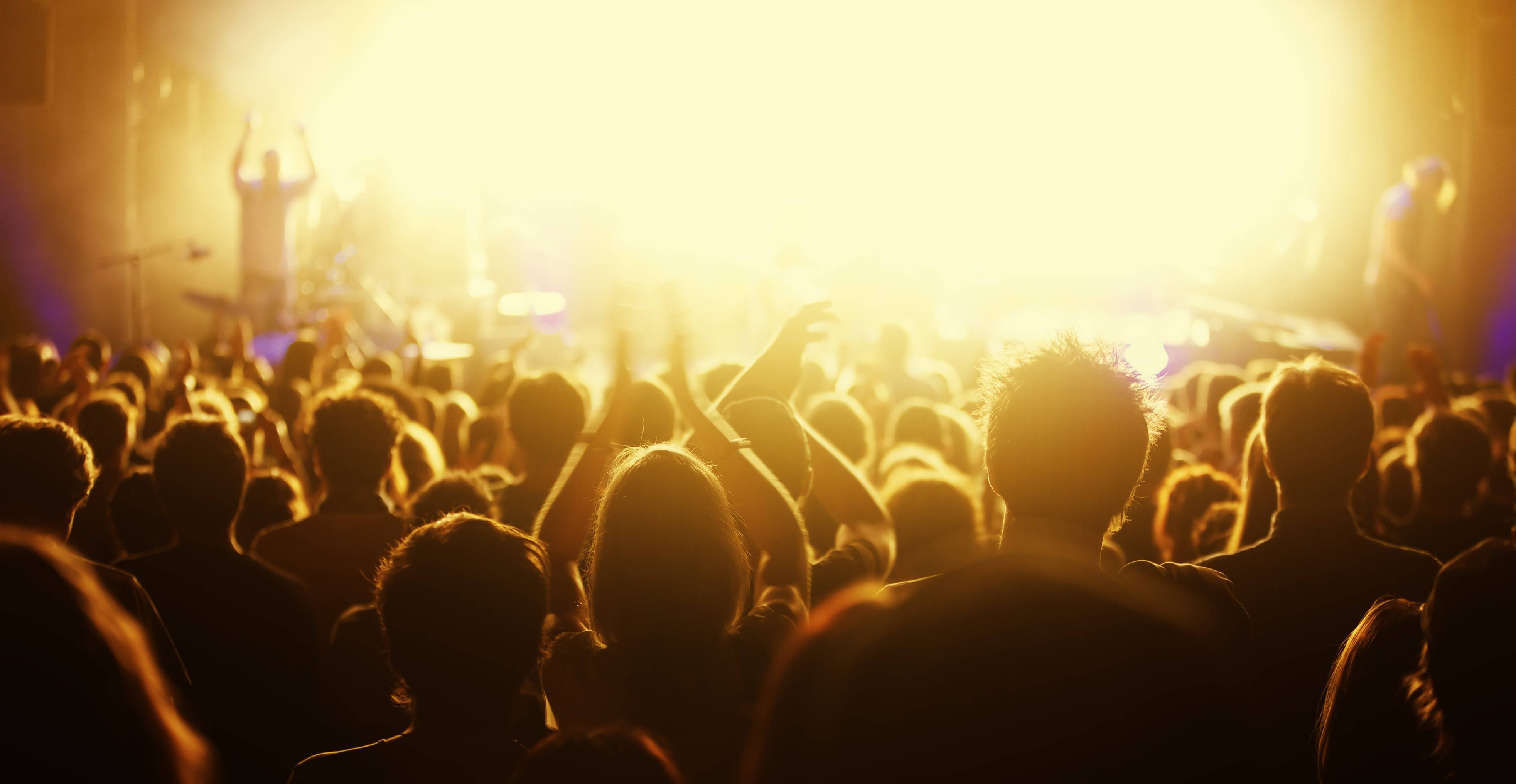 Detail Crowd Background Nomer 9