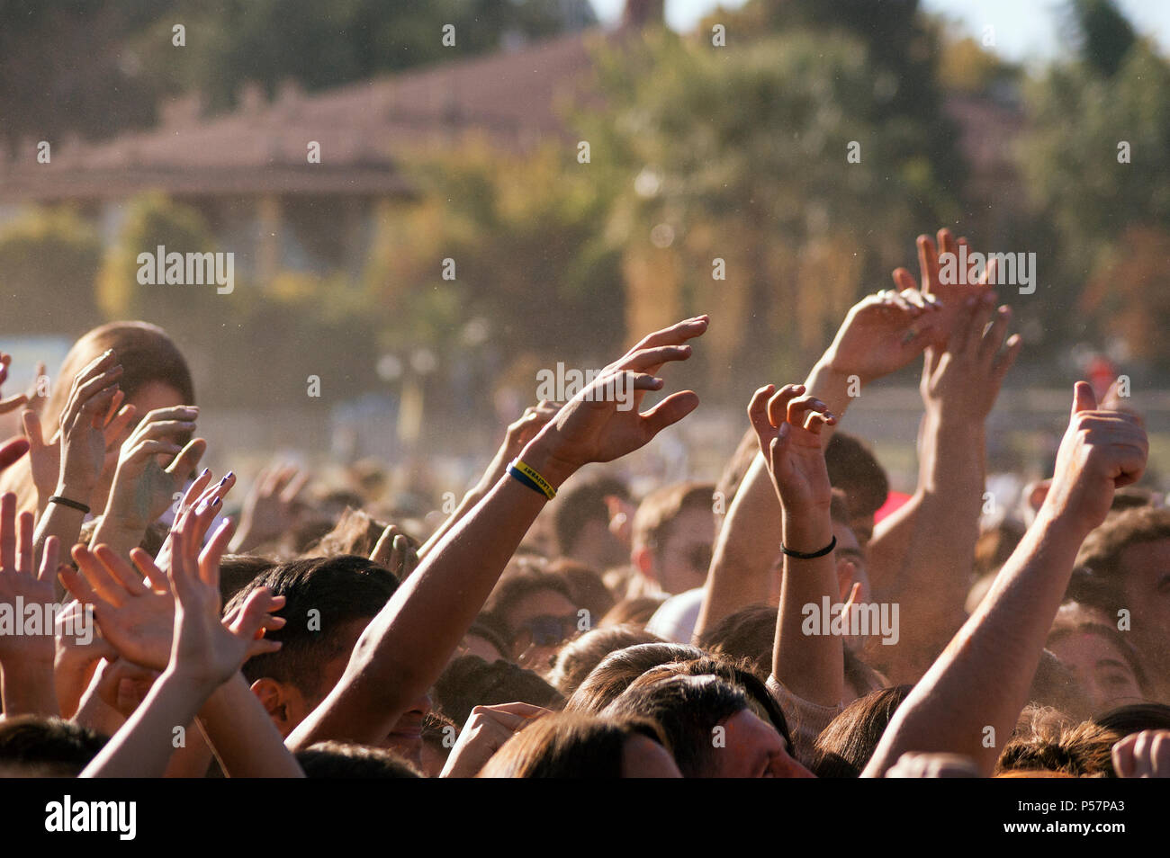 Detail Crowd Background For Editing Nomer 40