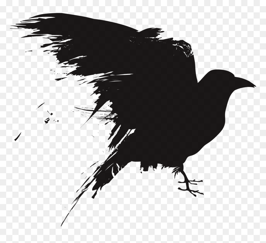 Detail Crows Images Free Nomer 22